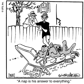 marmaduke